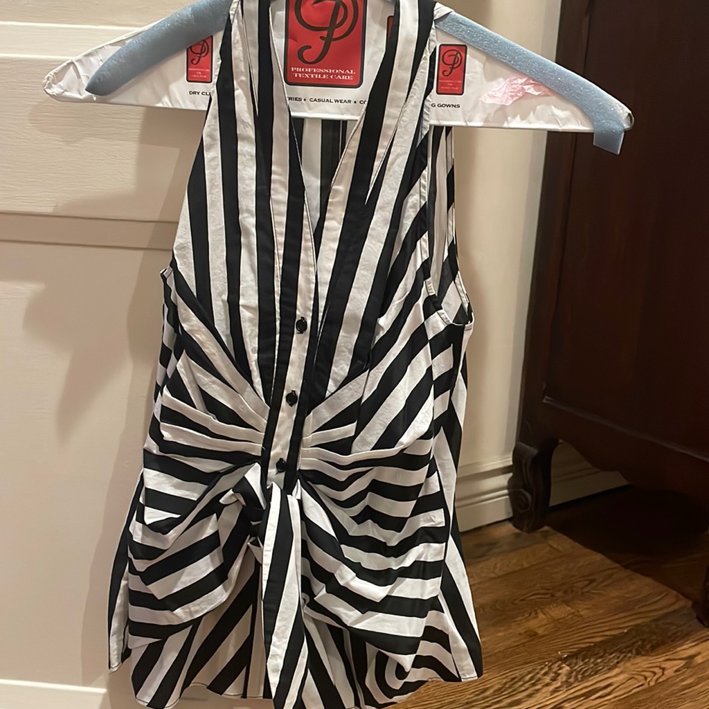 Bailey/44 Striped Button Down Tank Top